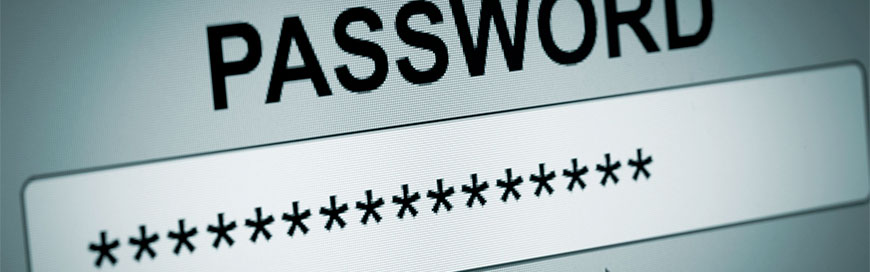 Are Your Passwords Up to Snuff?