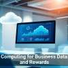 Cloud Computing for Business Data: Risks and Rewards